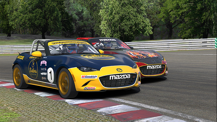 Licenses and Championships in iRacing