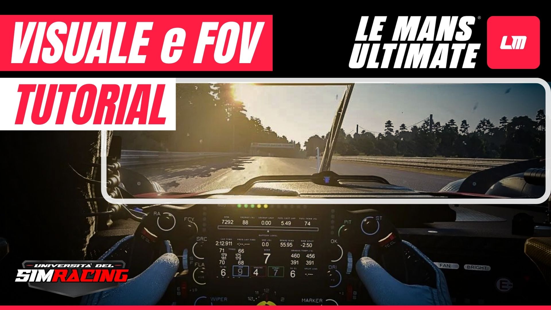 FOV e Visuale Abitacolo su Le Mans Ultimate
