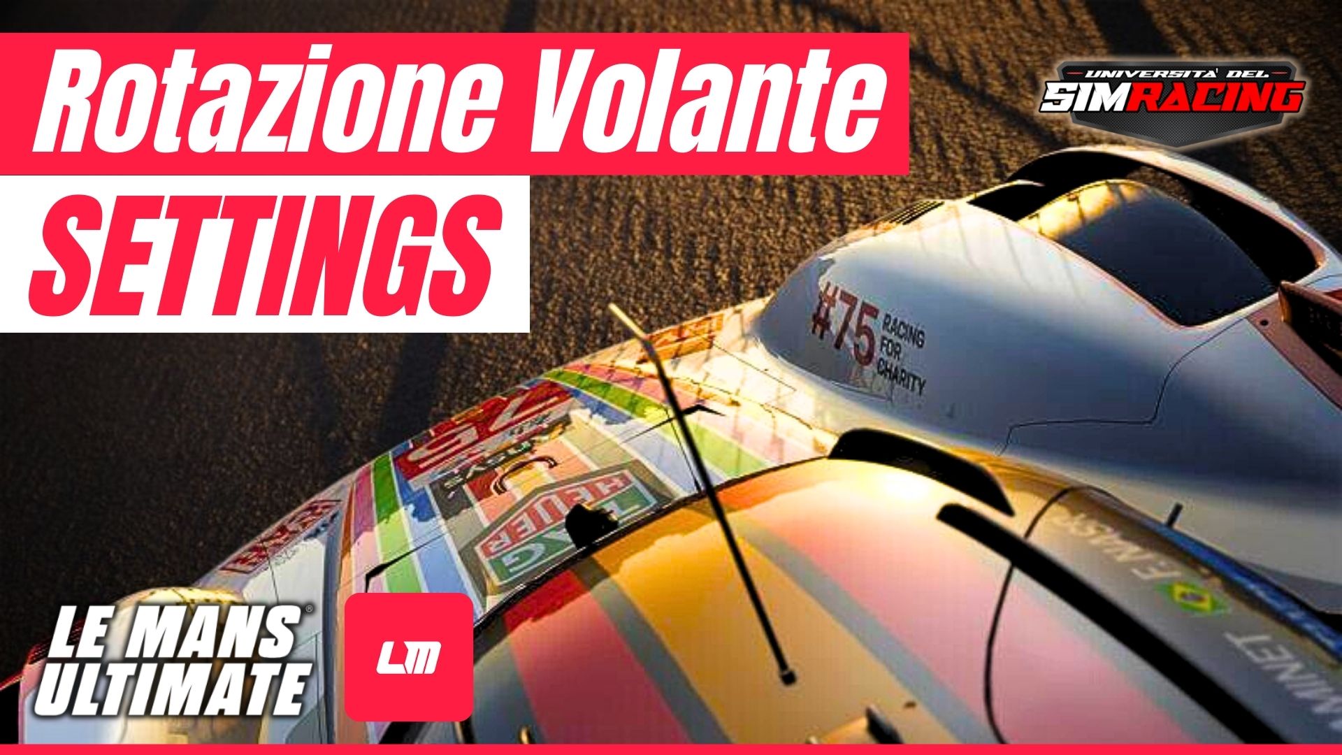 Settings Rotazione del Volante su Le Mans Ultimate