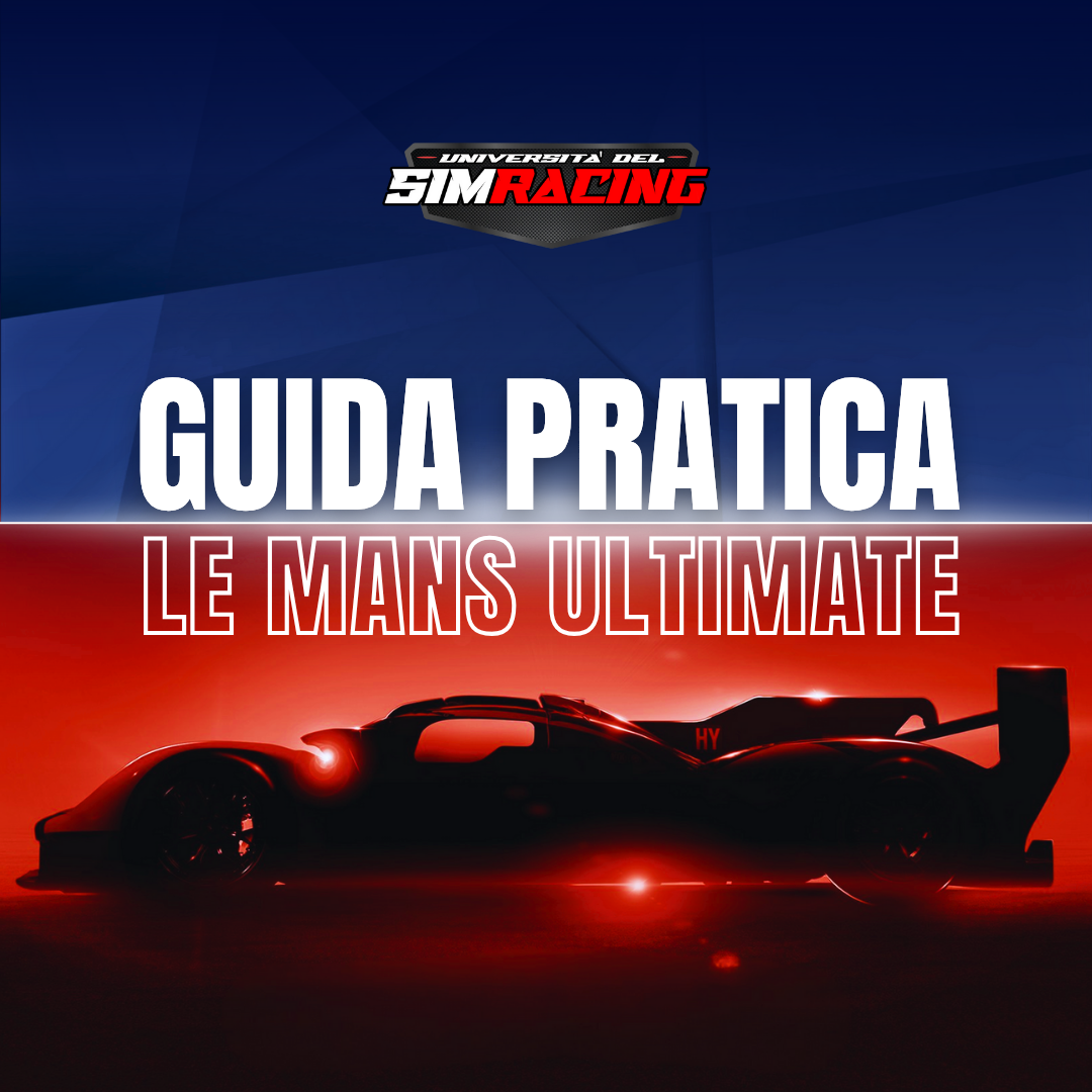 GUIDA PRATICA LMU V.3 (2)